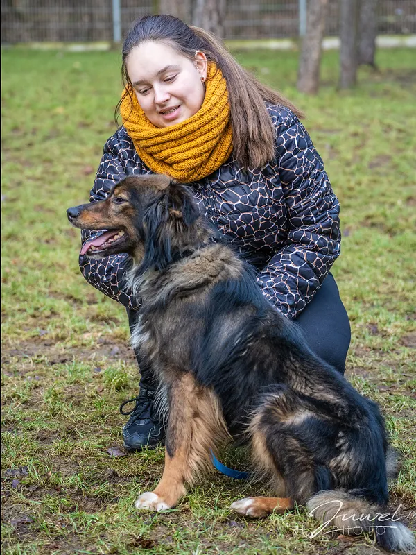 Pies do adopcji, Sopot, 15 lutego 2023 (2/5)