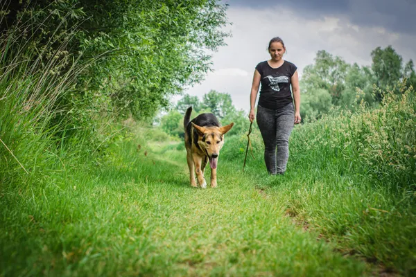 Pies do adopcji, Świdnica, 6 kwietnia 2021 (3/5)