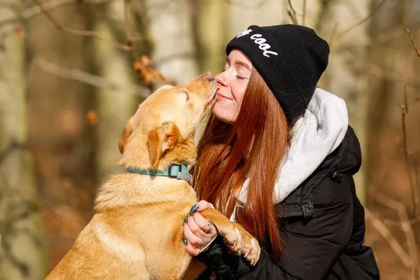 Pies do adopcji, Elbląg, 25 stycznia 2023 (4/5)