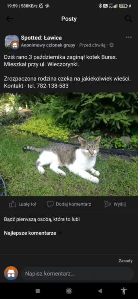 Zaginął kot, Poznań, 5 października 2023