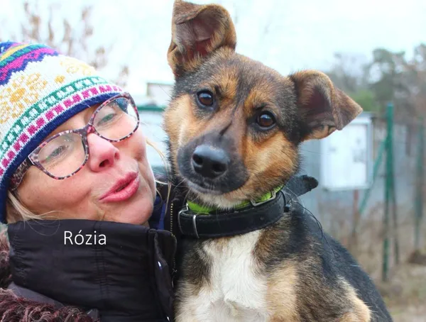 Pies do adopcji, Przyborówko, 28 lutego 2023 (3/4)