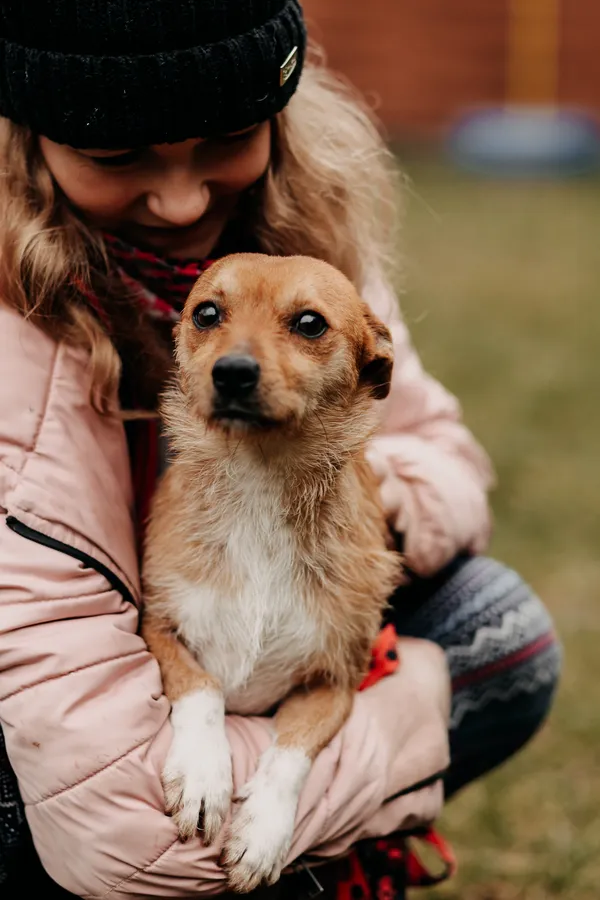 Pies do adopcji, Czartki, 24 stycznia 2023 (4/5)