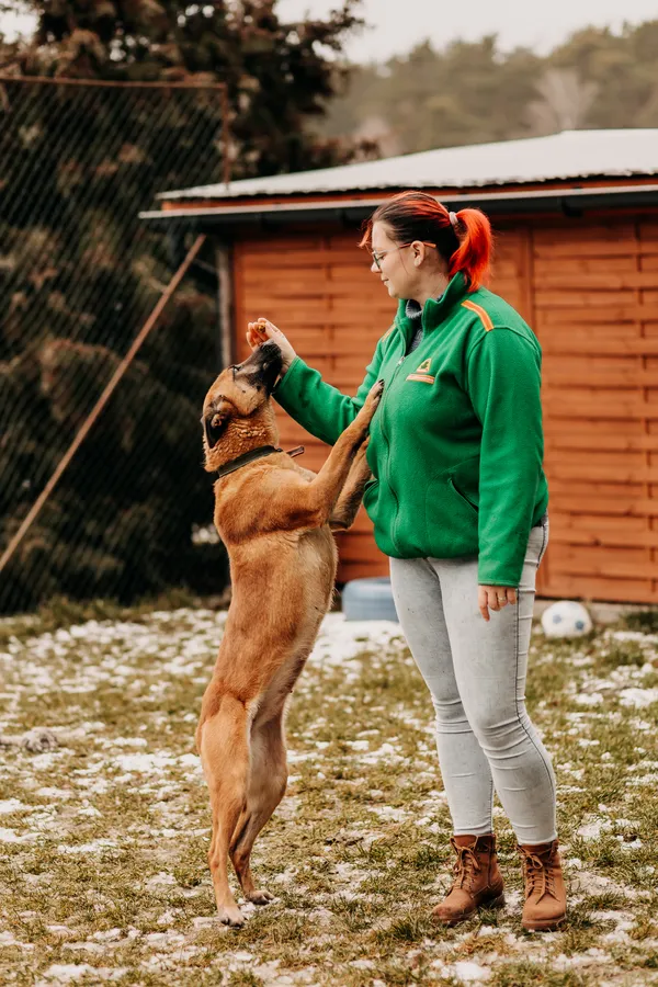 Pies do adopcji, Czartki, 23 stycznia 2023 (5/5)