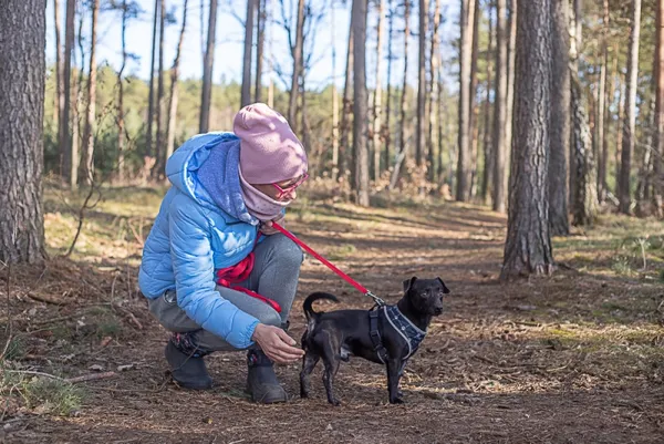 Pies do adopcji, Piła, 18 stycznia 2023 (2/4)