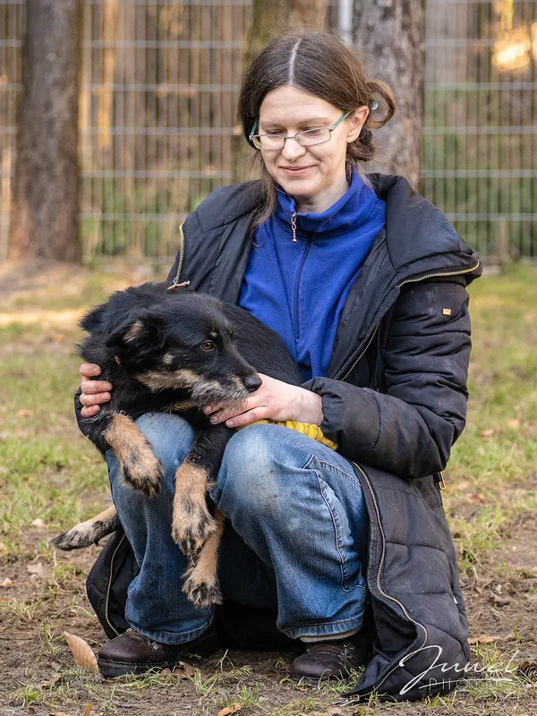 Pies do adopcji, Sopot, 9 marca 2023 (3/5)