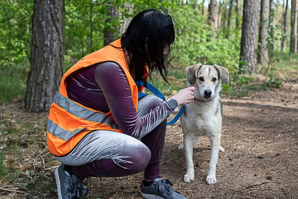 Pies do adopcji, Piła, 25 lutego 2021 (3/3)