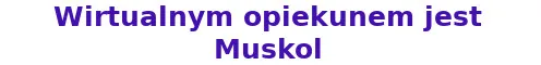 Kot do adopcji, Elbląg, 13 lipca 2016 (3/3)