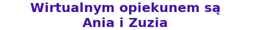 Kot do adopcji, Elbląg, 23 kwietnia 2021 (3/3)