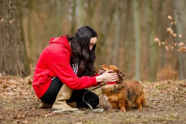 Pies do adopcji, Elbląg, 17 marca 2023 (3/5)