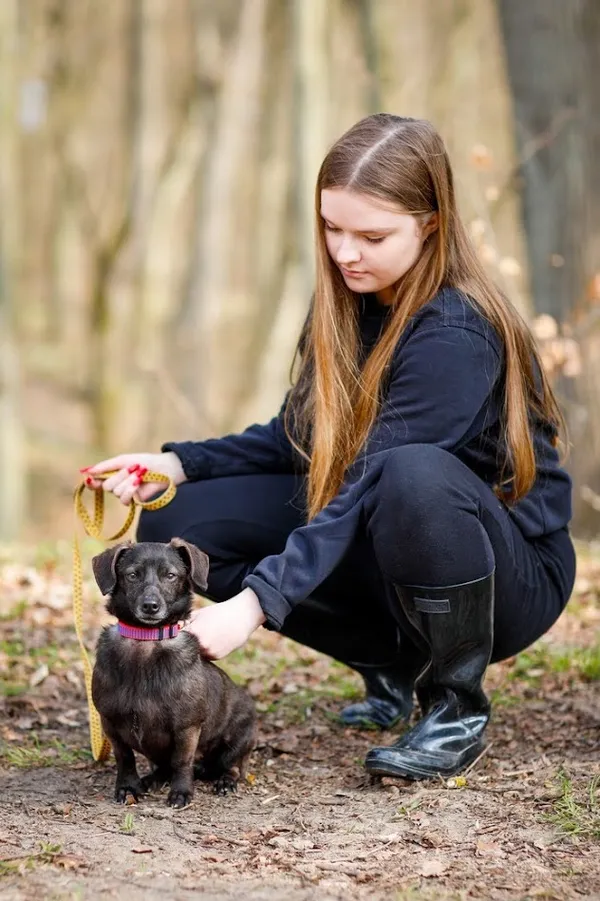 Pies do adopcji, Elbląg, 18 marca 2023 (2/5)