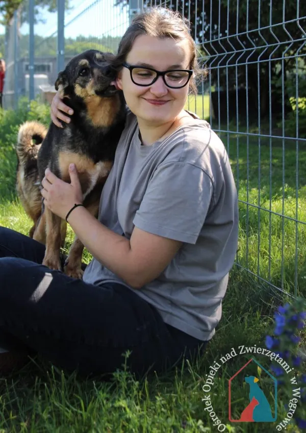 Pies do adopcji, Węgrowo, 3 marca 2022 (1/5)