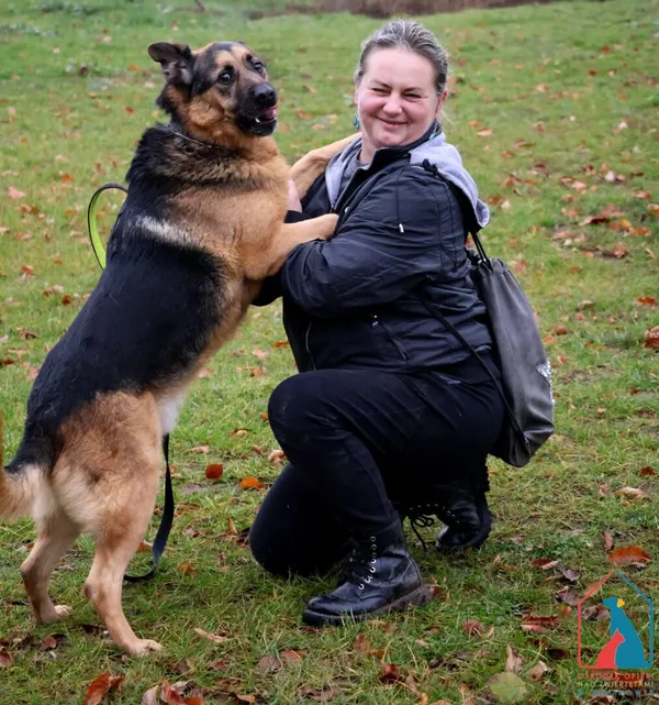 Pies do adopcji, Grudziądz, 6 grudnia 2022 (5/5)