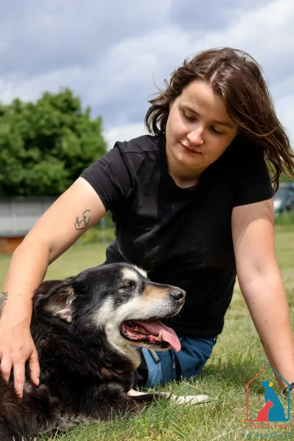 Pies do adopcji, Grudziądz, 22 marca 2021 (4/5)