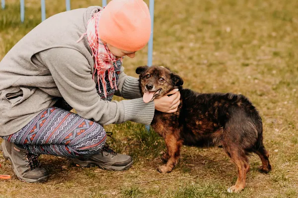 Pies do adopcji, Czartki, 14 kwietnia 2023 (2/5)