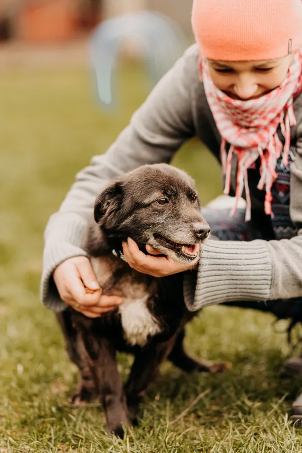 Pies do adopcji, Czartki, 20 kwietnia 2023 (5/5)