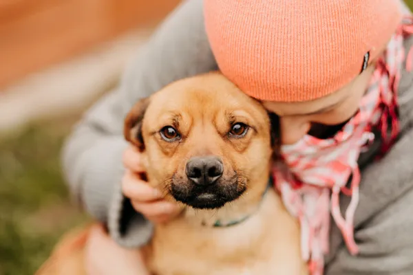 Pies do adopcji, Czartki, 20 kwietnia 2023 (5/5)