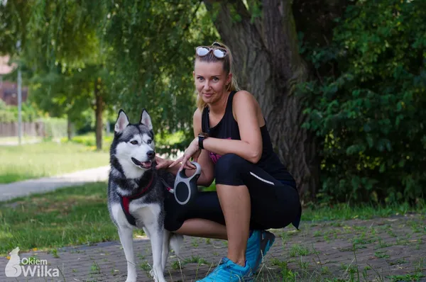 Pies do adopcji, Sosnowiec, 23 czerwca 2019 (1/5)
