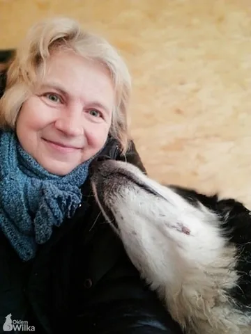 Pies do adopcji, Sosnowiec, 27 marca 2020 (2/5)