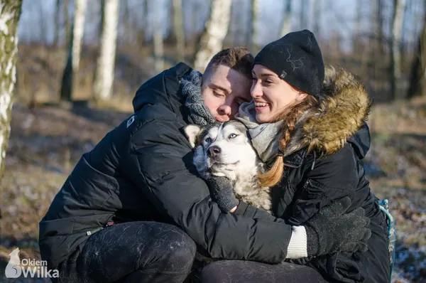 Pies do adopcji, Sosnowiec, 9 grudnia 2018
