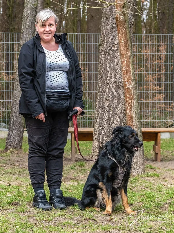 Pies do adopcji, Sopot, 26 kwietnia 2023 (2/5)