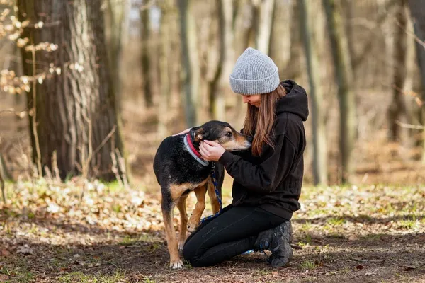 Pies do adopcji, Elbląg, 15 lipca 2019 (4/5)