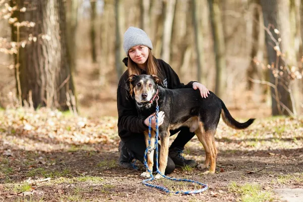 Pies do adopcji, Elbląg, 15 lipca 2019 (5/5)