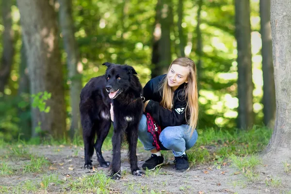 Pies do adopcji, Elbląg, 23 maja 2022 (2/5)