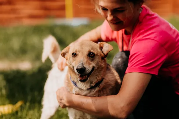 Pies do adopcji, Czartki, 29 maja 2023 (2/5)