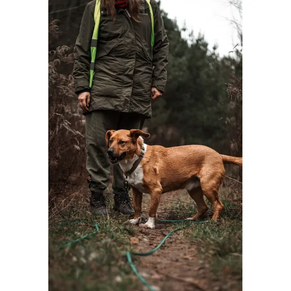 Znaleziono psa, Białystok, 18 maja 2023 (1/5)