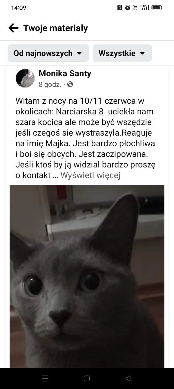 Zaginął kot, Łódź, 11 czerwca 2023