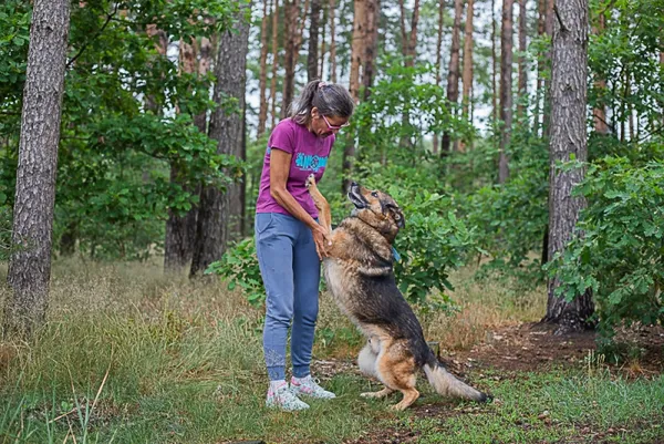 Pies do adopcji, Piła, 23 stycznia 2023 (4/5)