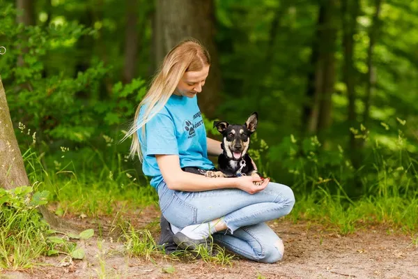 Pies do adopcji, Elbląg, 19 czerwca 2023 (2/5)