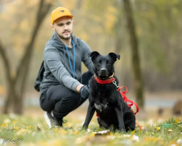 Znaleziono psa, Warszawa, 17 lipca 2023 (3/5)