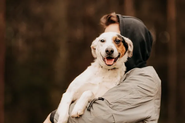 Pies do adopcji, Czartki, 17 września 2023 (3/5)