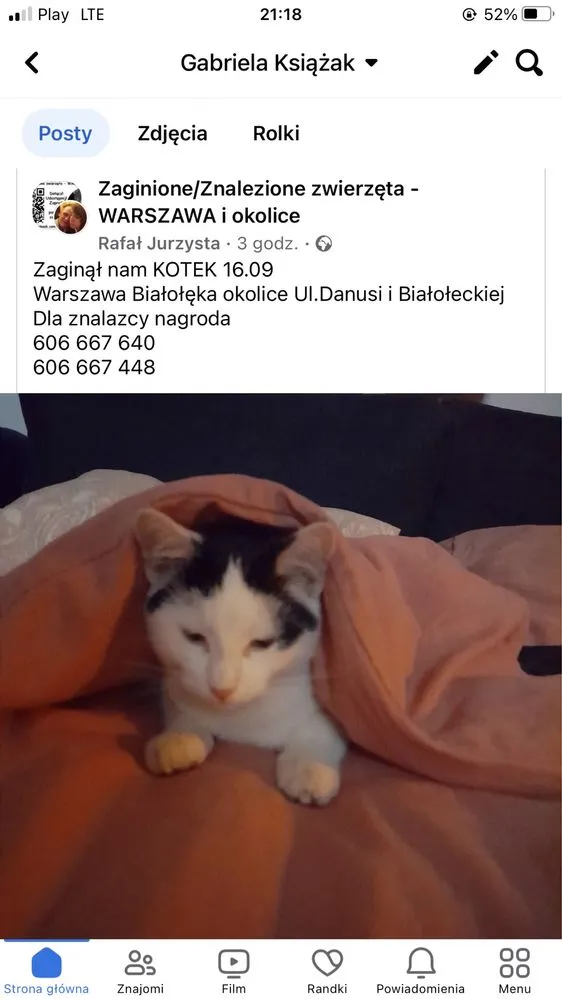 Zaginął kot, Warszawa, Białołęka Dworska, 19 września 2023 (1/2)