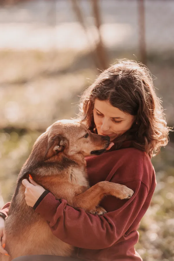 Pies do adopcji, Czartki, 15 listopada 2023 (1/5)