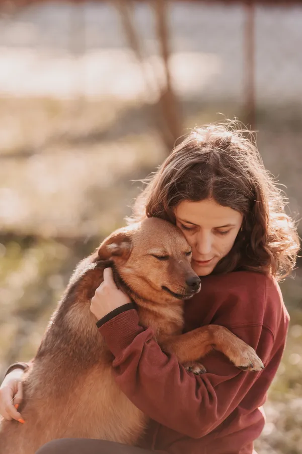 Pies do adopcji, Czartki, 15 listopada 2023 (2/5)