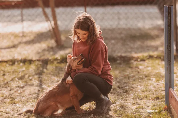 Pies do adopcji, Czartki, 15 listopada 2023 (3/5)