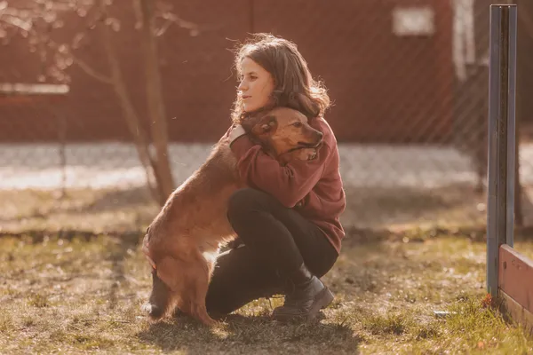 Pies do adopcji, Czartki, 15 listopada 2023 (4/5)