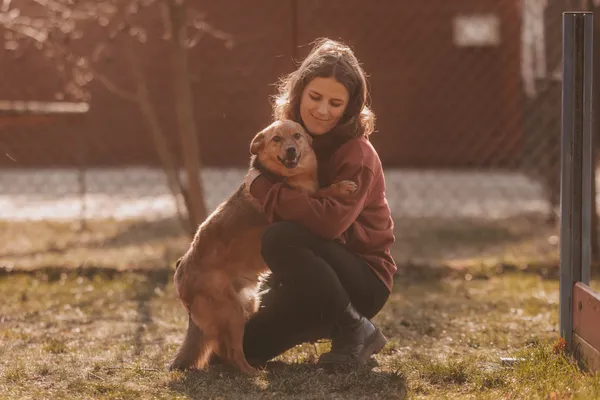 Pies do adopcji, Czartki, 15 listopada 2023 (5/5)