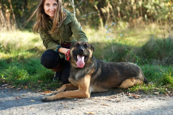 Pies do adopcji, Nowodwór, 23 listopada 2023 (2/5)