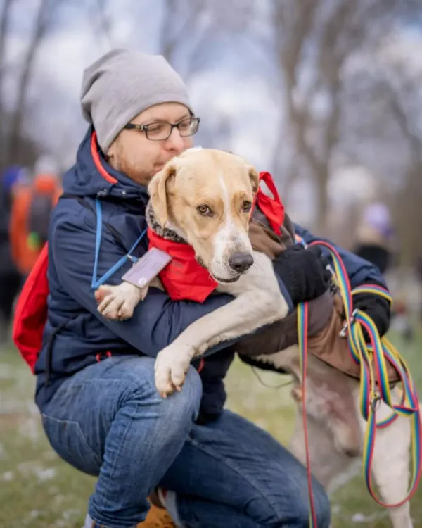 Pies do adopcji, Warszawa, 31 października 2023 (3/5)