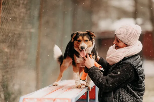 Pies do adopcji, Czartki, 12 stycznia 2024 (3/5)