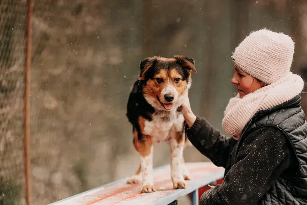 Pies do adopcji, Czartki, 12 stycznia 2024 (5/5)