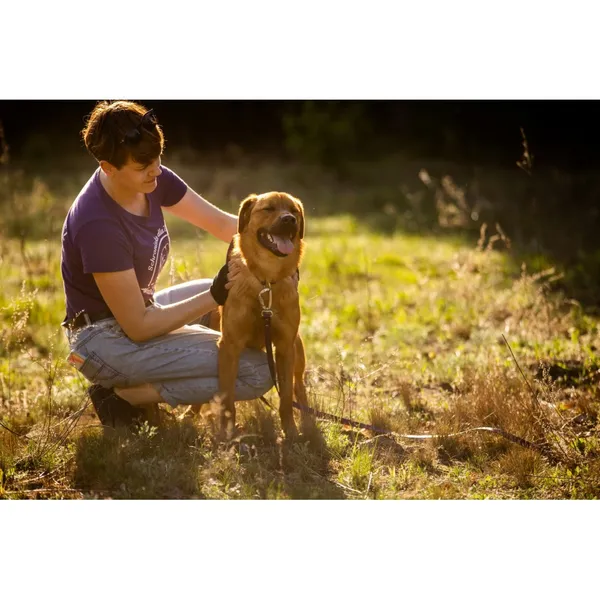 Znaleziono psa, Białystok, 20 grudnia 2023 (3/5)