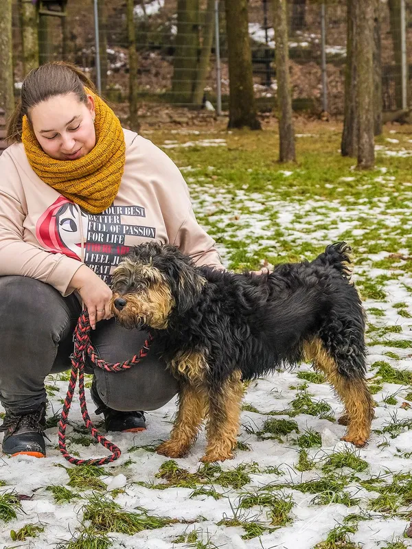 Pies do adopcji, Sopot, 19 stycznia 2024 (2/5)