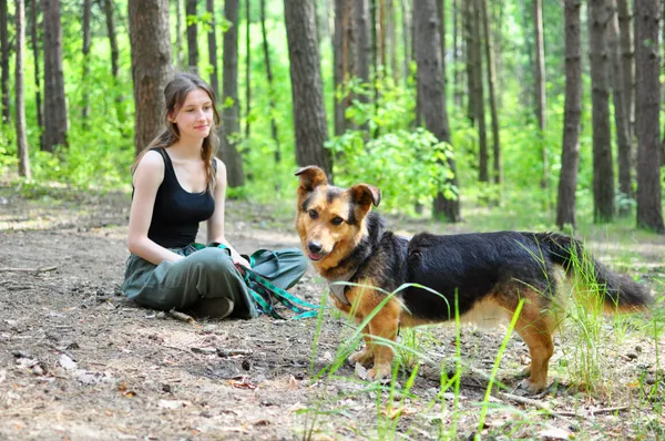 Pies do adopcji, Milanówek, 27 maja 2024 (4/5)