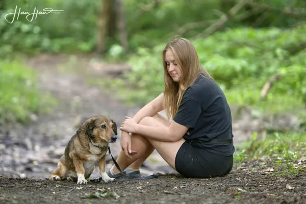 Pies do adopcji, Zgierz, 19 października 2023 (1/5)