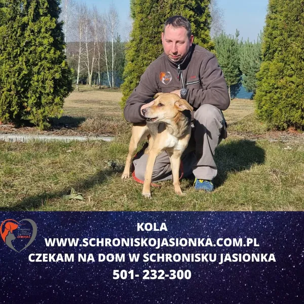 Znaleziono psa, Ciosny, 22 stycznia 2024