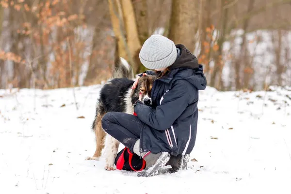 Pies do adopcji, Elbląg, 16 stycznia 2023 (3/5)